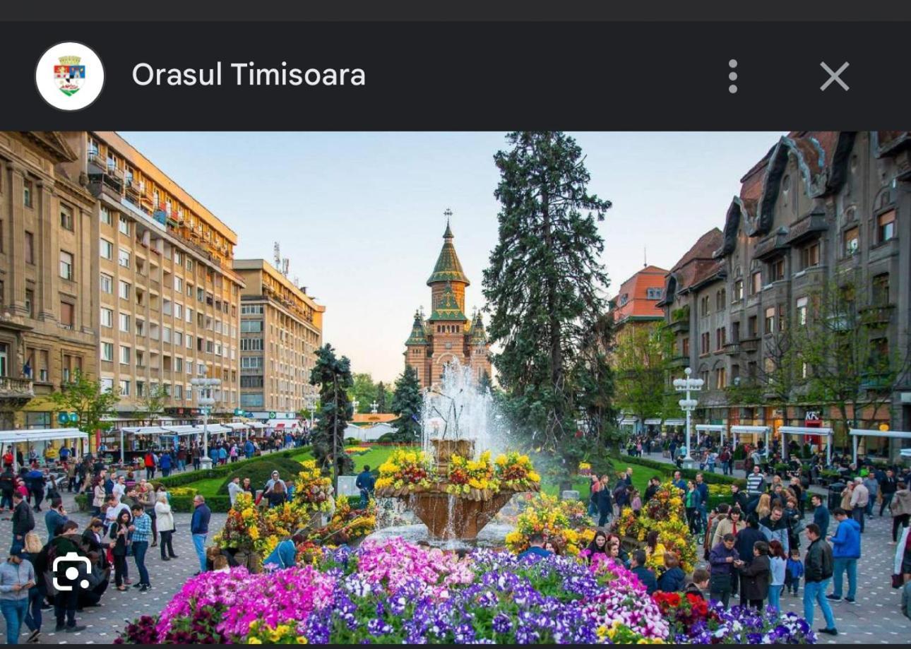 Apartament Lux Crialy - 75 M2 - Free Parking Timisoara Exterior foto